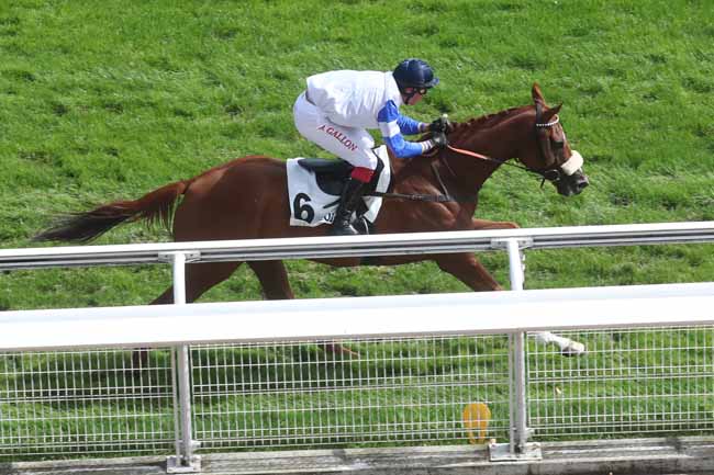 Photo d'arrivée de la course pmu PRIX MORTEMART à AUTEUIL le Mardi 5 septembre 2023
