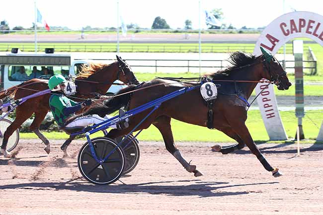 Photo d'arrivée de la course pmu PRIX DE LA SAUR à LA CAPELLE le Mercredi 6 septembre 2023