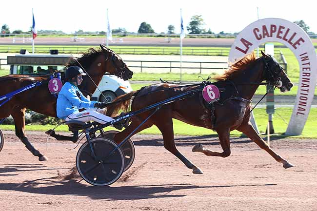Photo d'arrivée de la course pmu PRIX PIERRE COIGNARD (PRIX D'ARRAS) à LA CAPELLE le Mercredi 6 septembre 2023