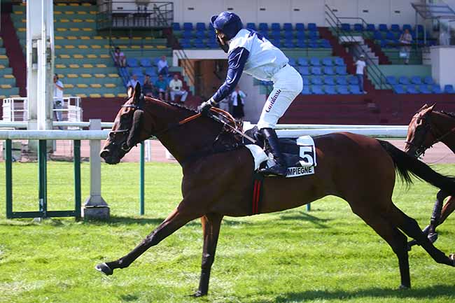Photo d'arrivée de la course pmu PRIX THE STOMP à COMPIEGNE le Vendredi 8 septembre 2023