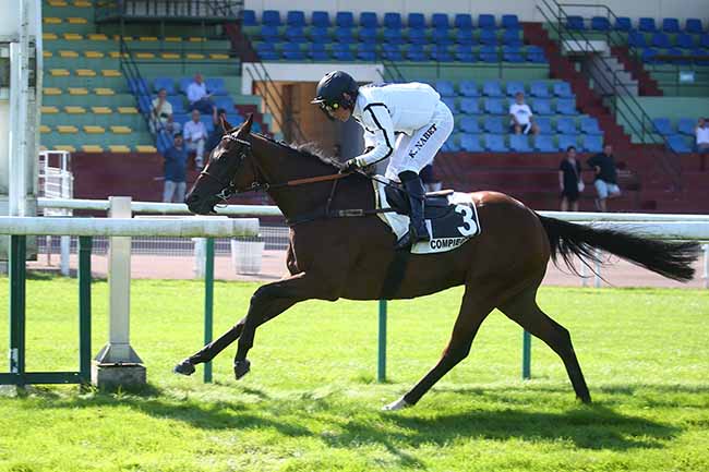 Photo d'arrivée de la course pmu PRIX DE RANVILLE à COMPIEGNE le Vendredi 8 septembre 2023