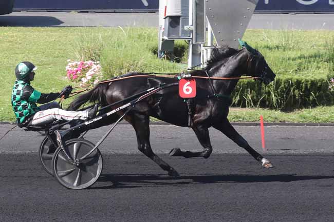 Photo d'arrivée de la course pmu PRIX JOSEPH AVELINE à PARIS-VINCENNES le Samedi 9 septembre 2023