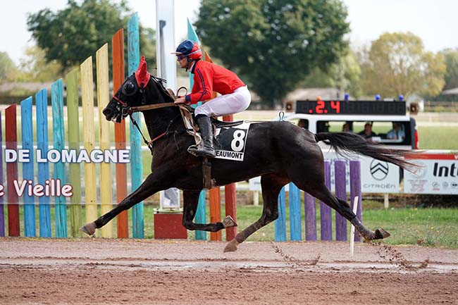 Photo d'arrivée de la course pmu PRIX ETONNANT à BEAUMONT DE LOMAGNE le Lundi 11 septembre 2023