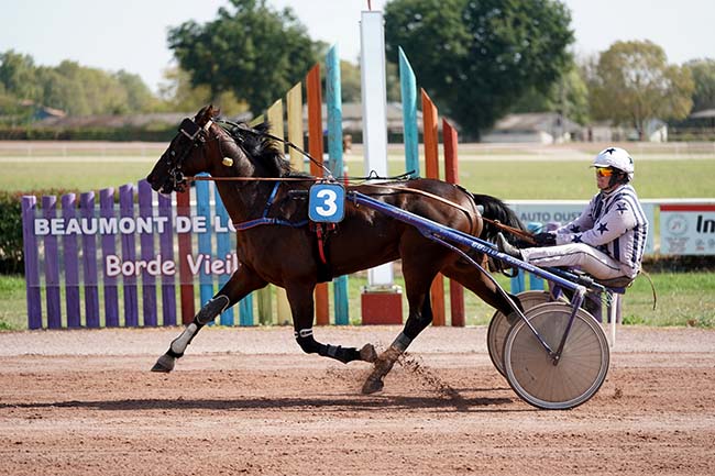 Photo d'arrivée de la course pmu PRIX DE LA PRESSE D'ENDOUMINGUE à BEAUMONT DE LOMAGNE le Lundi 11 septembre 2023