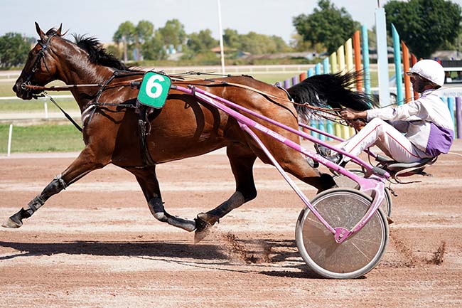 Photo d'arrivée de la course pmu GRAND PRIX JEAN DUMOUCH à BEAUMONT DE LOMAGNE le Lundi 11 septembre 2023