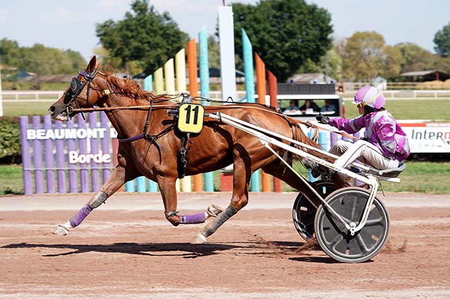 Photo d'arrivée de la course pmu PRIX LOVE YOU à BEAUMONT DE LOMAGNE le Lundi 11 septembre 2023