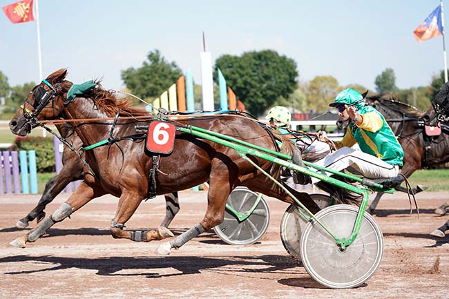 Photo d'arrivée de la course pmu PRIX FACE TIME BOURBON à BEAUMONT DE LOMAGNE le Lundi 11 septembre 2023