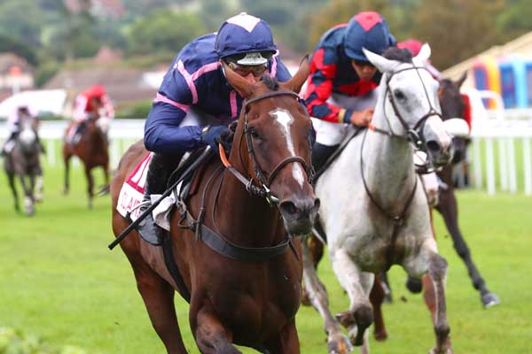 Photo d'arrivée de la course pmu PRIX DU HARAS DE VAINS (PRIX DES ETANGS DE SAINT-PIERRE) à CLAIREFONTAINE le Lundi 11 septembre 2023