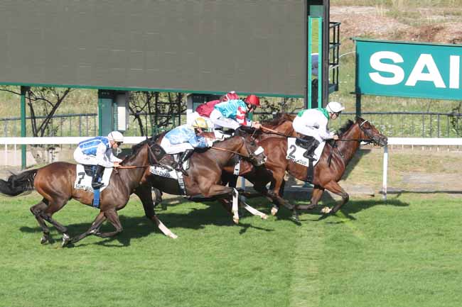 Photo d'arrivée de la course pmu PRIX LAVANDIN à SAINT CLOUD le Lundi 11 septembre 2023