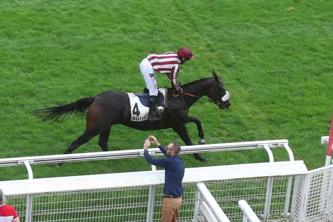 Photo d'arrivée de la course pmu PRIX ALAIN ET GILLES DE GOULAINE à AUTEUIL le Mardi 12 septembre 2023