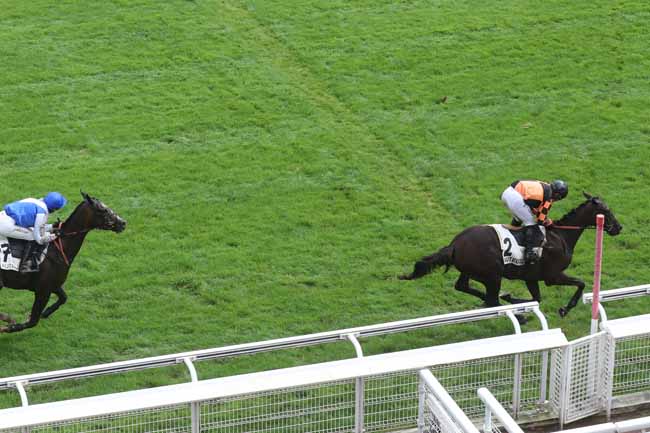 Photo d'arrivée de la course pmu PRIX FINOT - POULAINS - PELOTON A à AUTEUIL le Mardi 12 septembre 2023