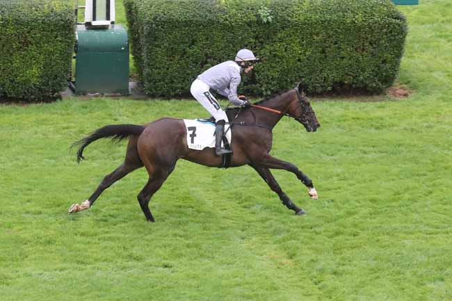 Photo d'arrivée de la course pmu PRIX MELI MELO à AUTEUIL le Mardi 12 septembre 2023