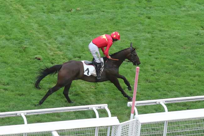 Photo d'arrivée de la course pmu PRIX FINOT - POULAINS - PELOTON B à AUTEUIL le Mardi 12 septembre 2023