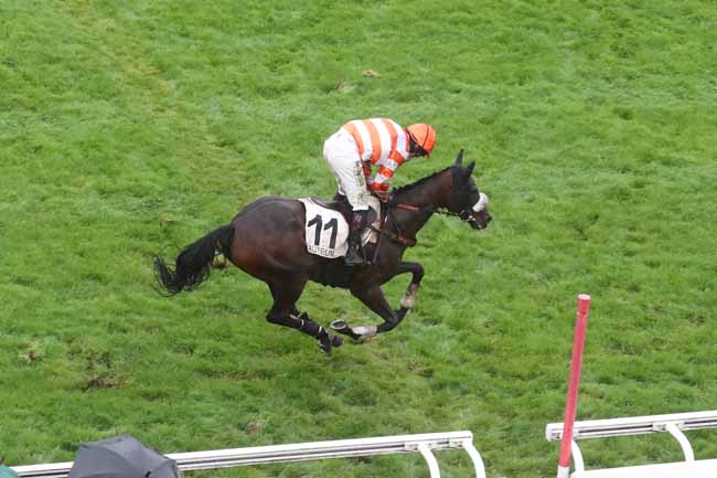 Photo d'arrivée de la course pmu PRIX PIERRE ET BERNARD CYPRES à AUTEUIL le Mardi 12 septembre 2023
