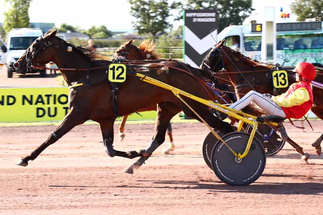 Photo d'arrivée de la course pmu PRIX DE MESLAY-DU-MAINE à ANGERS le Mercredi 13 septembre 2023