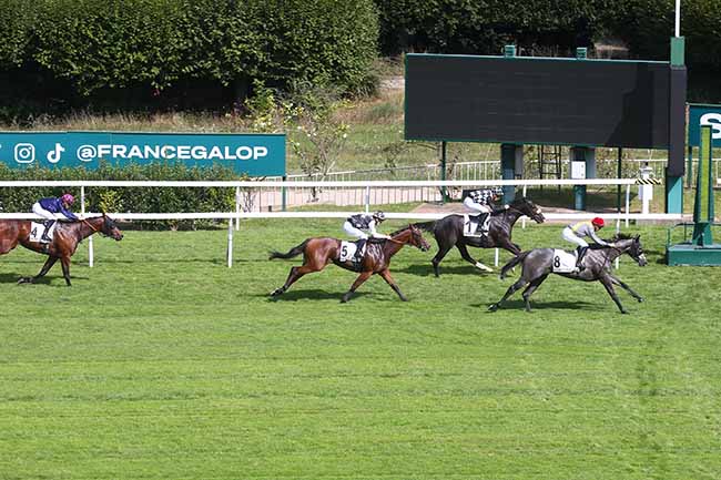 Photo d'arrivée de la course pmu PRIX BILL WILLIAMSON à SAINT CLOUD le Vendredi 15 septembre 2023