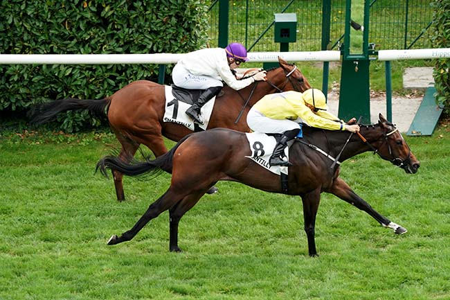 Photo d'arrivée de la course pmu PRIX ECLIPSE à CHANTILLY le Samedi 16 septembre 2023