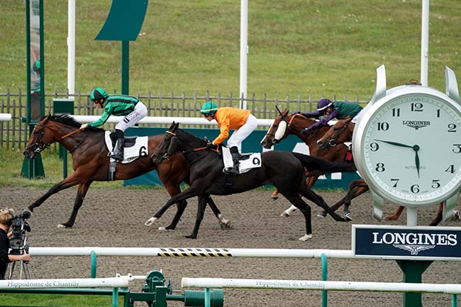 Photo d'arrivée de la course pmu PRIX DE LA VILLE DE LAMORLAYE à CHANTILLY le Samedi 16 septembre 2023