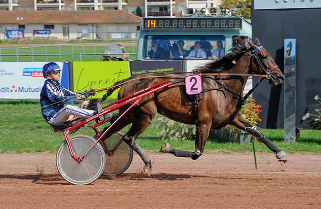 Photo d'arrivée de la course pmu PRIX DE LA FEDERATION DES CAISSES DU CREDIT MUTUEL DU SUD-EST à FEURS le Mercredi 20 septembre 2023