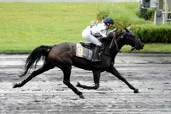 Photo d'arrivée de la course pmu PRIX DE GAP à PARIS-VINCENNES le Jeudi 21 septembre 2023