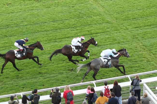 Photo d'arrivée de la course pmu PRIX ROBERT LEJEUNE à AUTEUIL le Samedi 23 septembre 2023