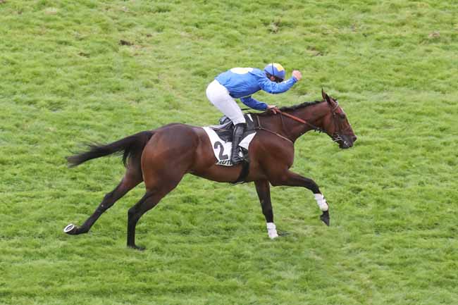 Photo d'arrivée de la course pmu PRIX CHAKHANSOOR à AUTEUIL le Samedi 23 septembre 2023
