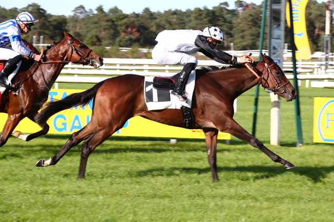 Photo d'arrivée de la course pmu PRIX DU BOIS NOTRE-DAME à FONTAINEBLEAU le Dimanche 24 septembre 2023