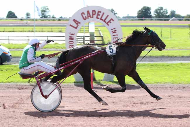 Photo d'arrivée de la course pmu PRIX POLE D'EQUILIBRE TERRITORIAL ET RURAL DU PAYS DE THIERACHE à LA CAPELLE le Lundi 25 septembre 2023