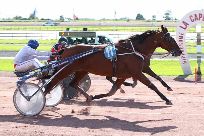 Photo d'arrivée de la course pmu PRIX AXA SPERI à LA CAPELLE le Lundi 25 septembre 2023
