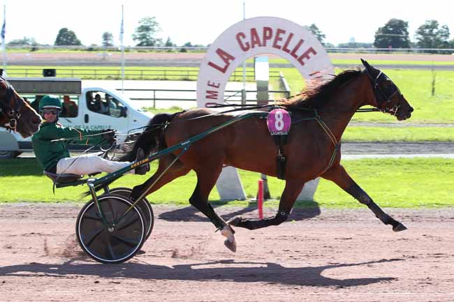 Photo d'arrivée de la course pmu PRIX REGION DES HAUTS-DE-FRANCE à LA CAPELLE le Lundi 25 septembre 2023