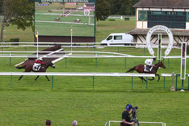Photo d'arrivée de la course pmu PRIX BAY ARCHER à COMPIEGNE le Mardi 26 septembre 2023