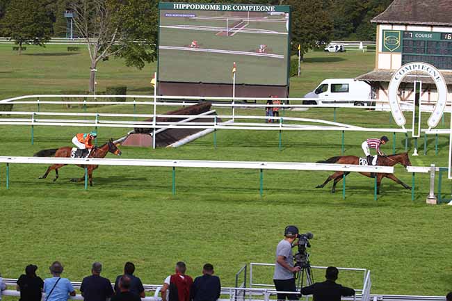 Photo d'arrivée de la course pmu PRIX NORTHERNTOWN à COMPIEGNE le Mardi 26 septembre 2023