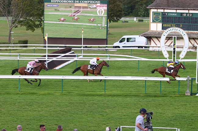 Photo d'arrivée de la course pmu PRIX DE CHABLIS à COMPIEGNE le Mardi 26 septembre 2023
