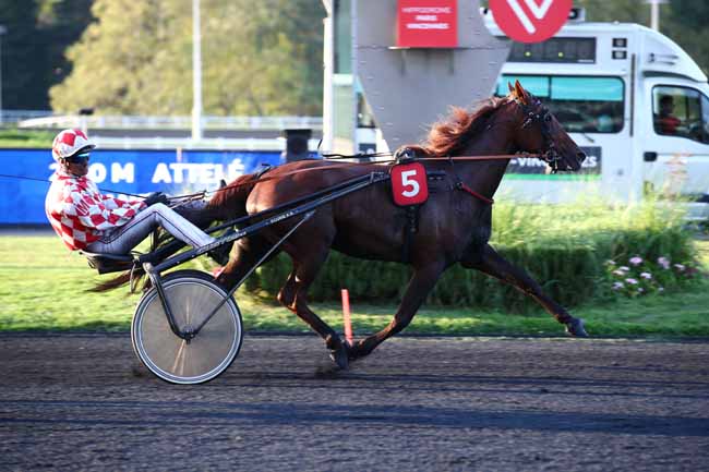 Photo d'arrivée de la course pmu PRIX MYRRHA à PARIS-VINCENNES le Mardi 26 septembre 2023