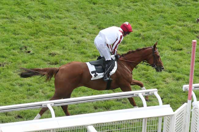 Photo d'arrivée de la course pmu PRIX GRANDLIEU à AUTEUIL le Mercredi 27 septembre 2023