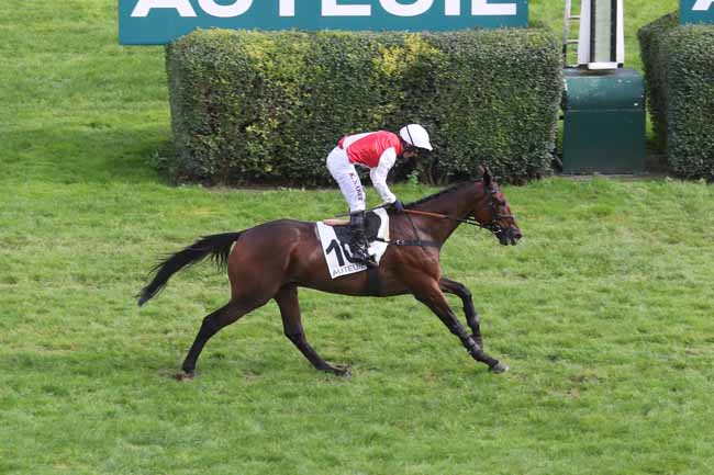 Photo d'arrivée de la course pmu PRIX JULIEN DECRION à AUTEUIL le Mercredi 27 septembre 2023