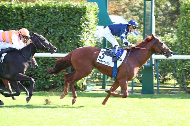 Photo d'arrivée de la course pmu PRIX DES COURTILS à CHANTILLY le Jeudi 28 septembre 2023