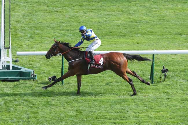 Photo d'arrivée de la course pmu QATAR PRIX DU CADRAN à LONGCHAMP le Samedi 30 septembre 2023