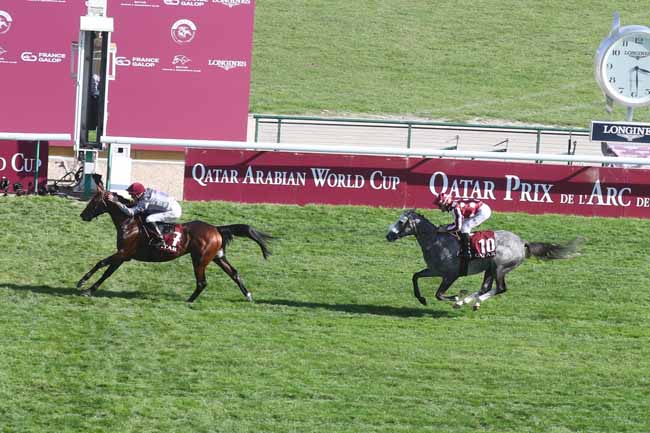 Photo d'arrivée de la course pmu QATAR ARABIAN WORLD CUP à LONGCHAMP le Dimanche 1 octobre 2023