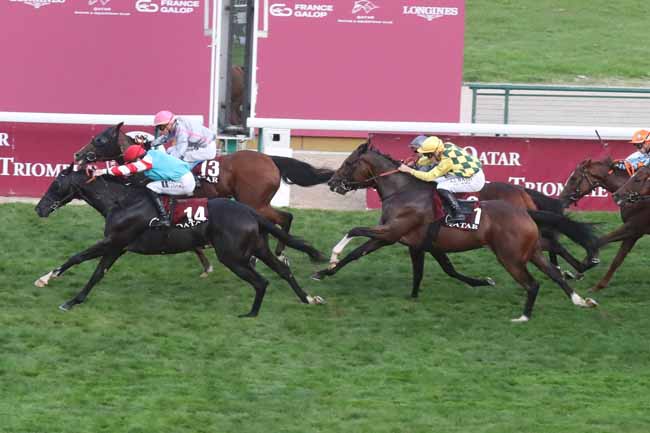 Photo d'arrivée de la course pmu QATAR GRAND HANDICAP DES FLYERS PRESENTE PAR RMC à LONGCHAMP le Dimanche 1 octobre 2023
