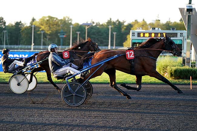 Photo d'arrivée de la course pmu PRIX GUERICKE à PARIS-VINCENNES le Mardi 3 octobre 2023
