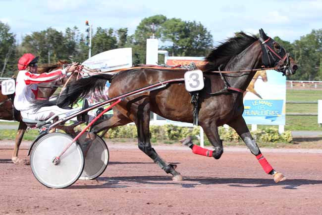Photo d'arrivée de la course pmu PRIX VOLVO THIBAULT à LE MANS le Mercredi 4 octobre 2023