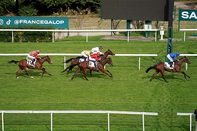 Photo d'arrivée de la course pmu PRIX TENEBREUSE à SAINT CLOUD le Jeudi 5 octobre 2023