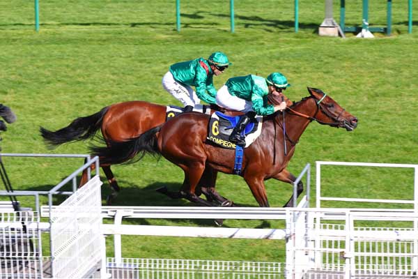 Photo d'arrivée de la course pmu PRIX DES NAIADES à COMPIEGNE le Vendredi 6 octobre 2023