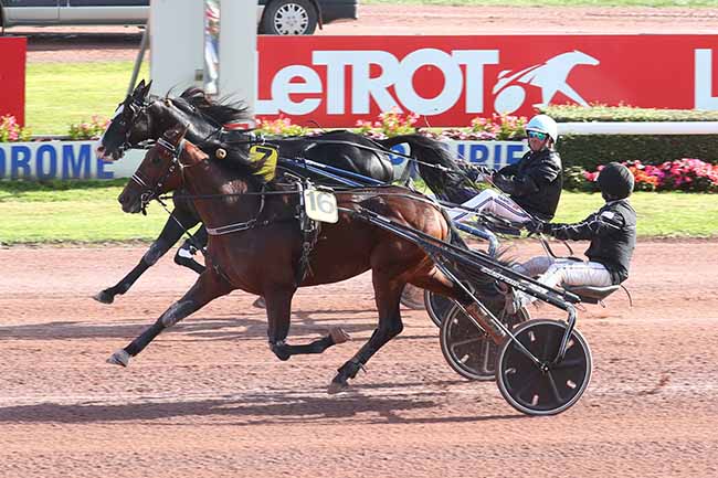 Photo d'arrivée de la course pmu PRIX DE LONGVILLERS à CAEN le Samedi 7 octobre 2023