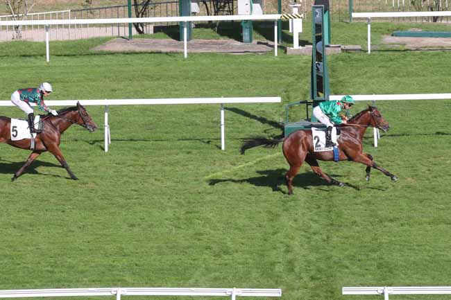Photo d'arrivée de la course pmu PRIX PHAREL à SAINT CLOUD le Mardi 10 octobre 2023