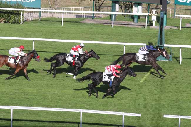 Photo d'arrivée de la course pmu PRIX DE CLAIREFONTAINE à SAINT CLOUD le Mardi 10 octobre 2023
