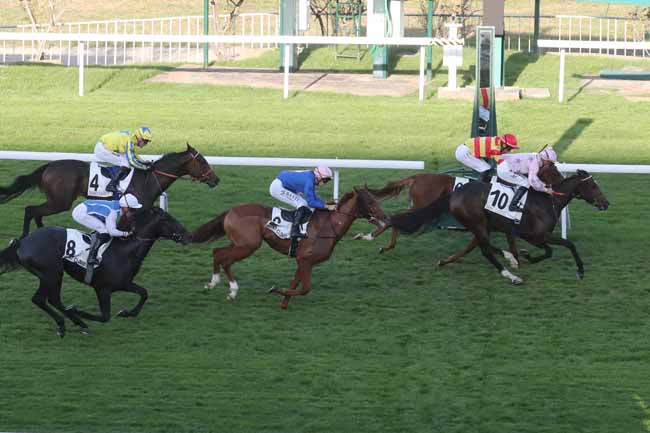Photo d'arrivée de la course pmu PRIX GUEMUL à SAINT CLOUD le Mardi 10 octobre 2023