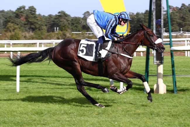 Photo d'arrivée de la course pmu PRIX COLONEL JOCHAUD DU PLESSIX à FONTAINEBLEAU le Mardi 10 octobre 2023