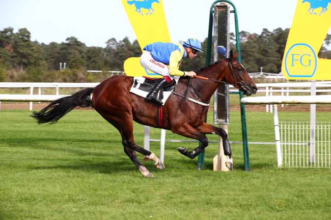 Photo d'arrivée de la course pmu PRIX DU MONT USSY à FONTAINEBLEAU le Mardi 10 octobre 2023